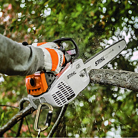 STIHL MS 194 T Бензопила STIHL, шина RL 30см, цепь 61 PMM3 11372000372, Пилы для работы на высоте Штиль